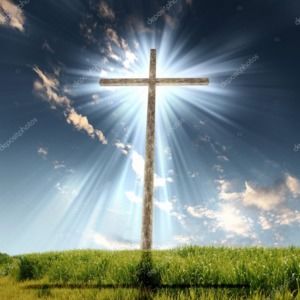 Meet your Posher, Wanda